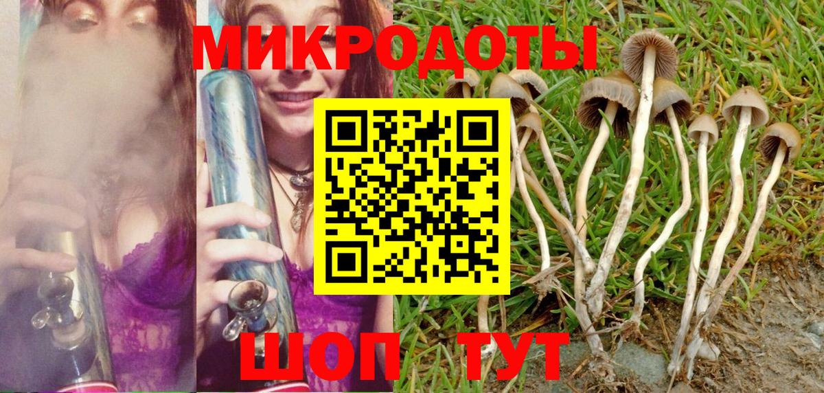 Псилоцибиновые грибы мухоморы Кинель