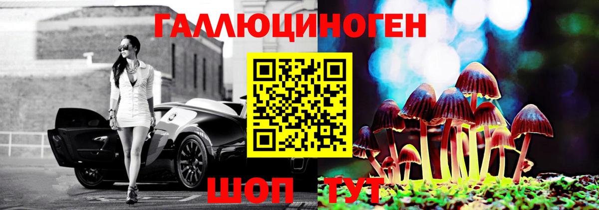 Кинель  Псилоцибиновые грибы мухоморы  Галлюциногенные грибы Psilocybe  где можно купить   Вход с VPN 